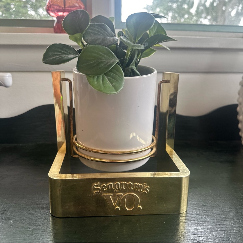 SEGRAMS BOTTLE DISPLAY STAND , cute plant holder gold eclectic